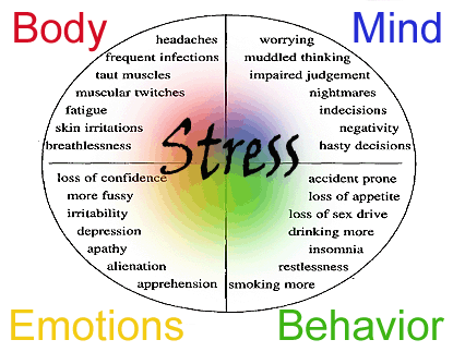 A chart of symptoms of stress on the body, mind, emotions, and behavior