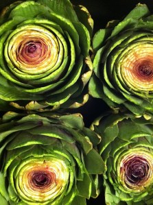 trimmed artichokes ready to cook