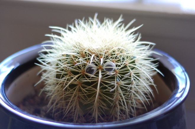 Potted barrel cactus with googly eyes