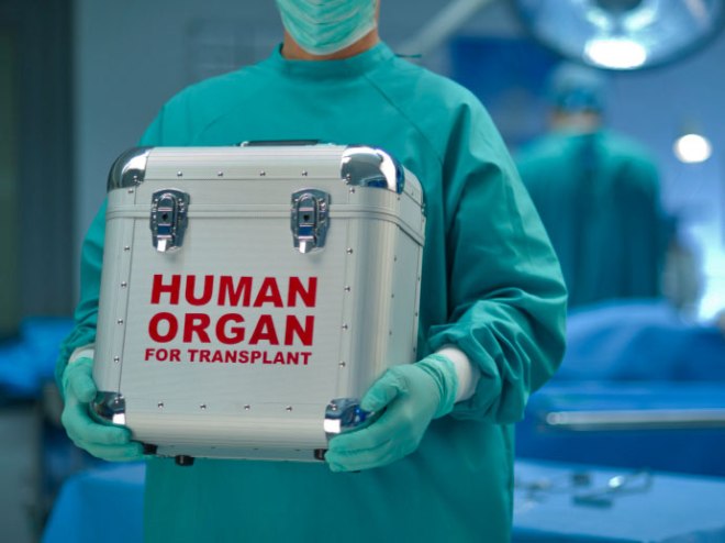 Doctor carrying cooler labeled Human Organ for Transplant