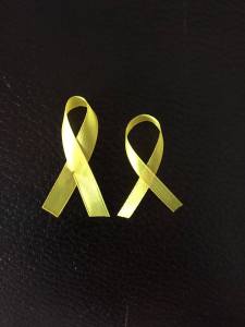 12764759_10206032696832225_7407210942947577410_o