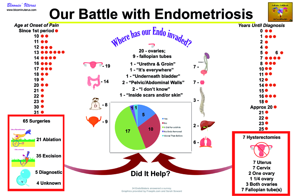 Percentage Breakdown 24x36 copy