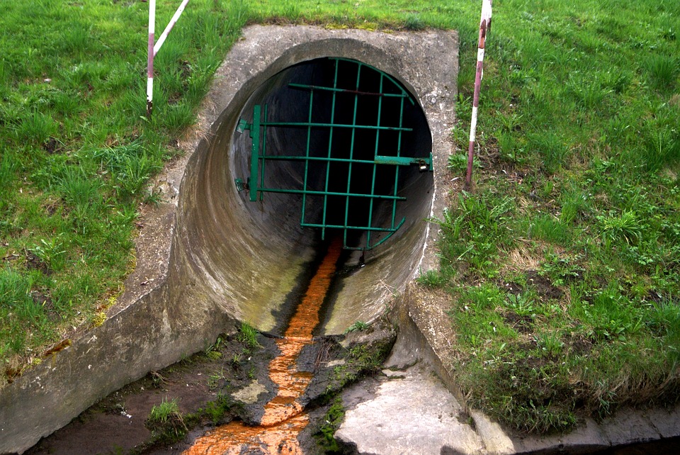 Drainage ditch leaking sewage