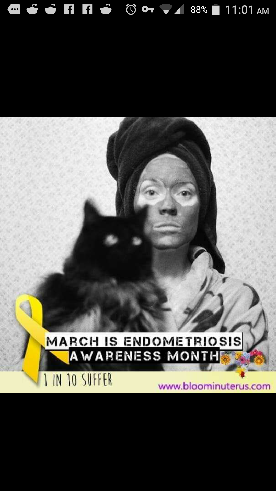 Endo Awareness Facebook frame around Lisa Howard's profile photo