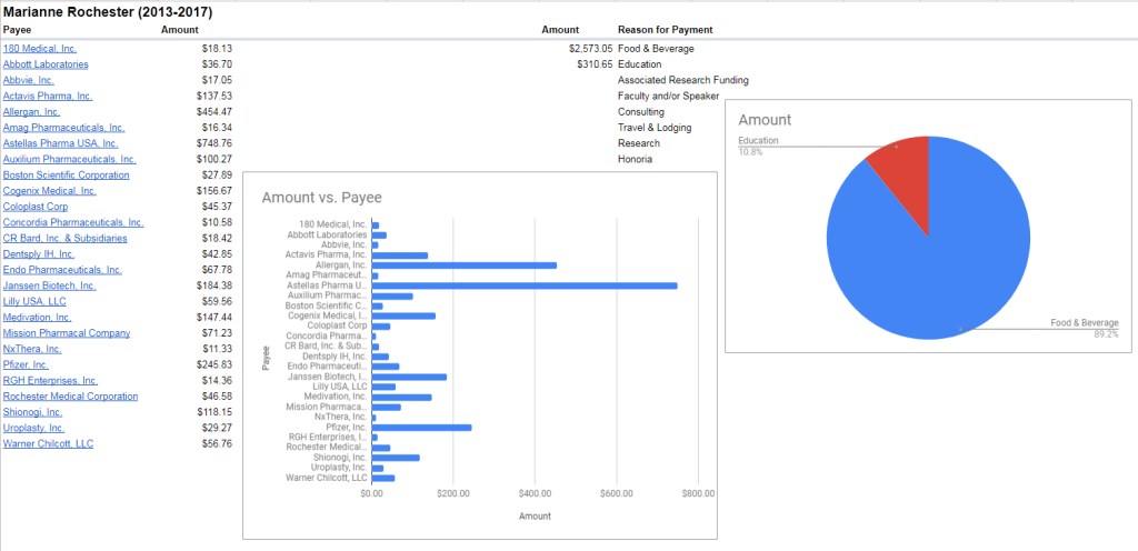 Breakdown of Marianne Rochester payments 2013-2017