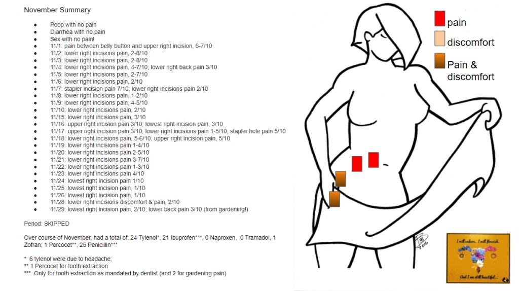 Summary of November 2020 pain