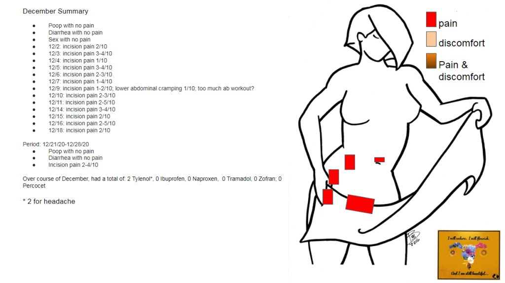 Pain chart summary for December 2020, including text and a body diagram with red squares on it for pain locations