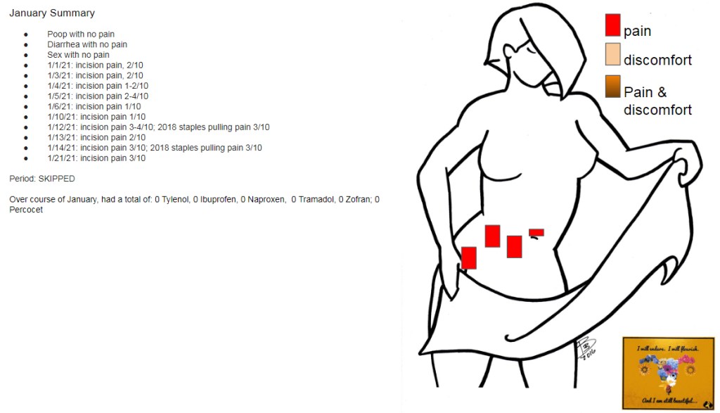 Summary of pain in January 2021